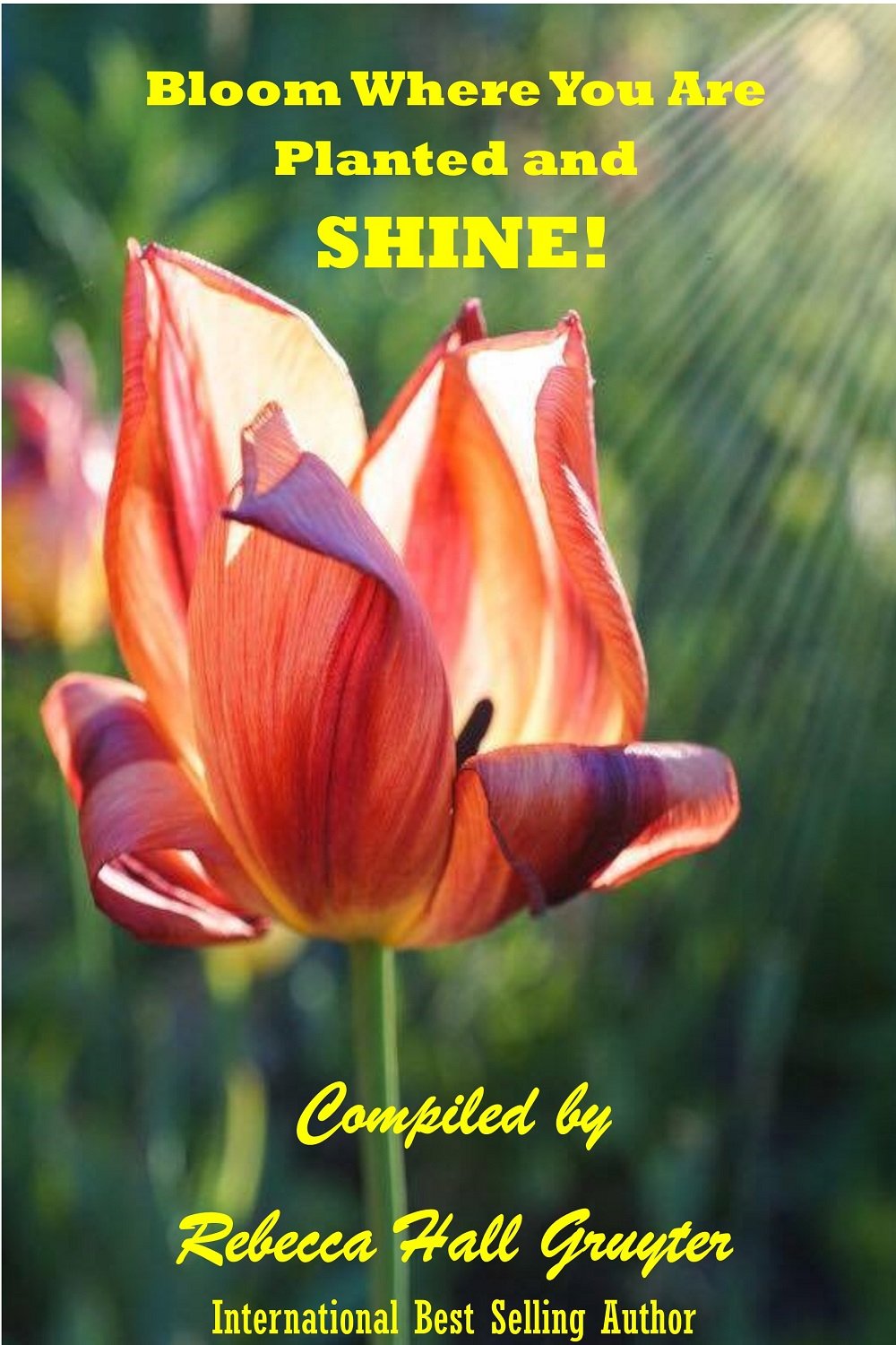 Laub-C_USA_b9 Laub-C_USA_b9